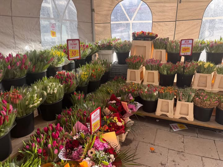 Blommor & Säsong